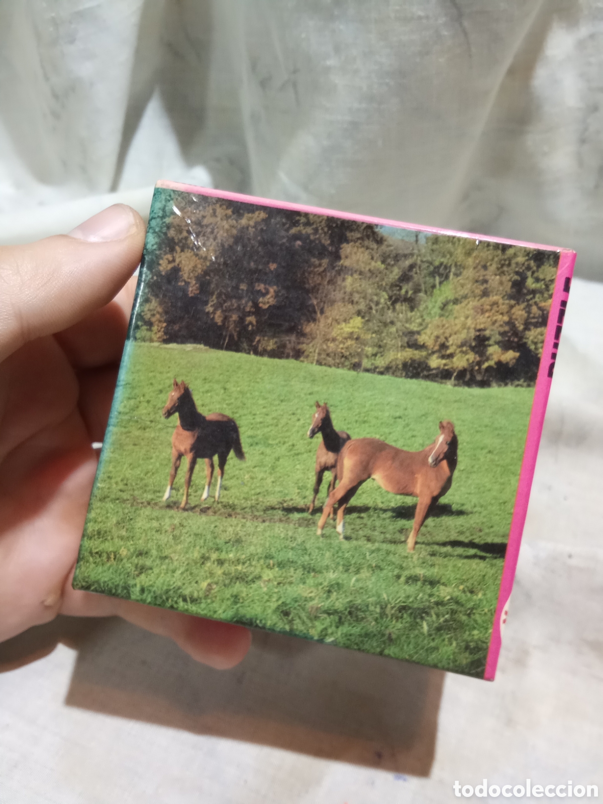 Puzzles: ANTIGUO PUZZLE DE CABALLOS OBSEQUIO DE NESQUIK EN COLABORACI&Oacute;N CON EDUCA - Foto 4