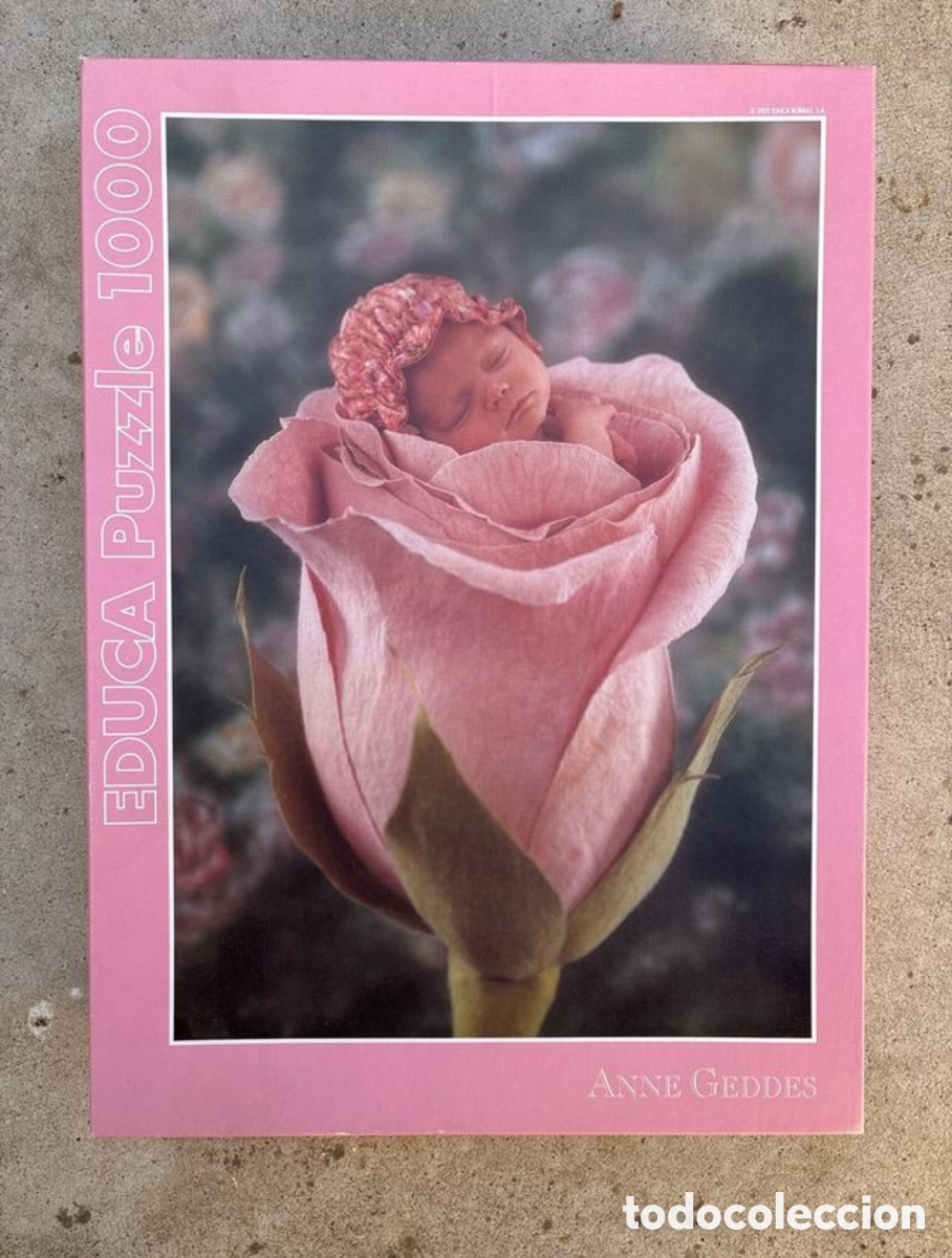 Puzzles: Puzzle EDUCA 1000 piezas - Foto 1