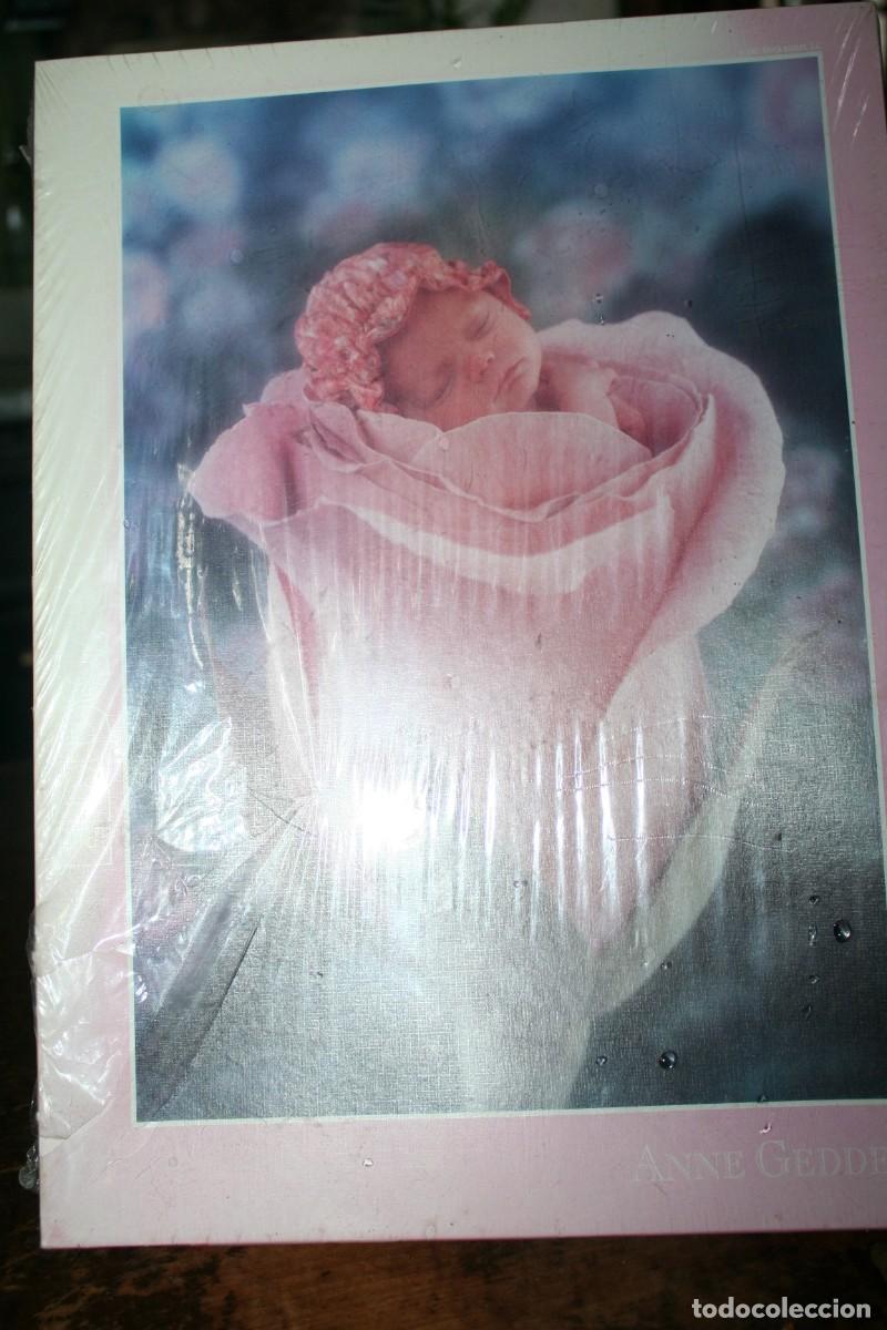 Puzzles: Puzzles Educa 1000 Madison (Educa 12934) ANNE GEDDES - Foto 1