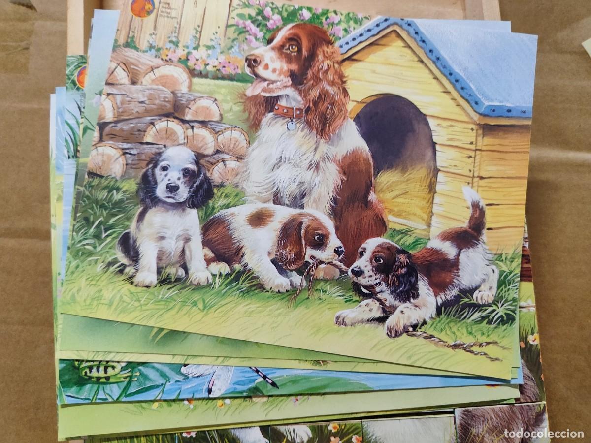 Puzzles: ROMPECABEZAS 20 CUBOS DE MADERA ILUSTRADOS - Foto 4