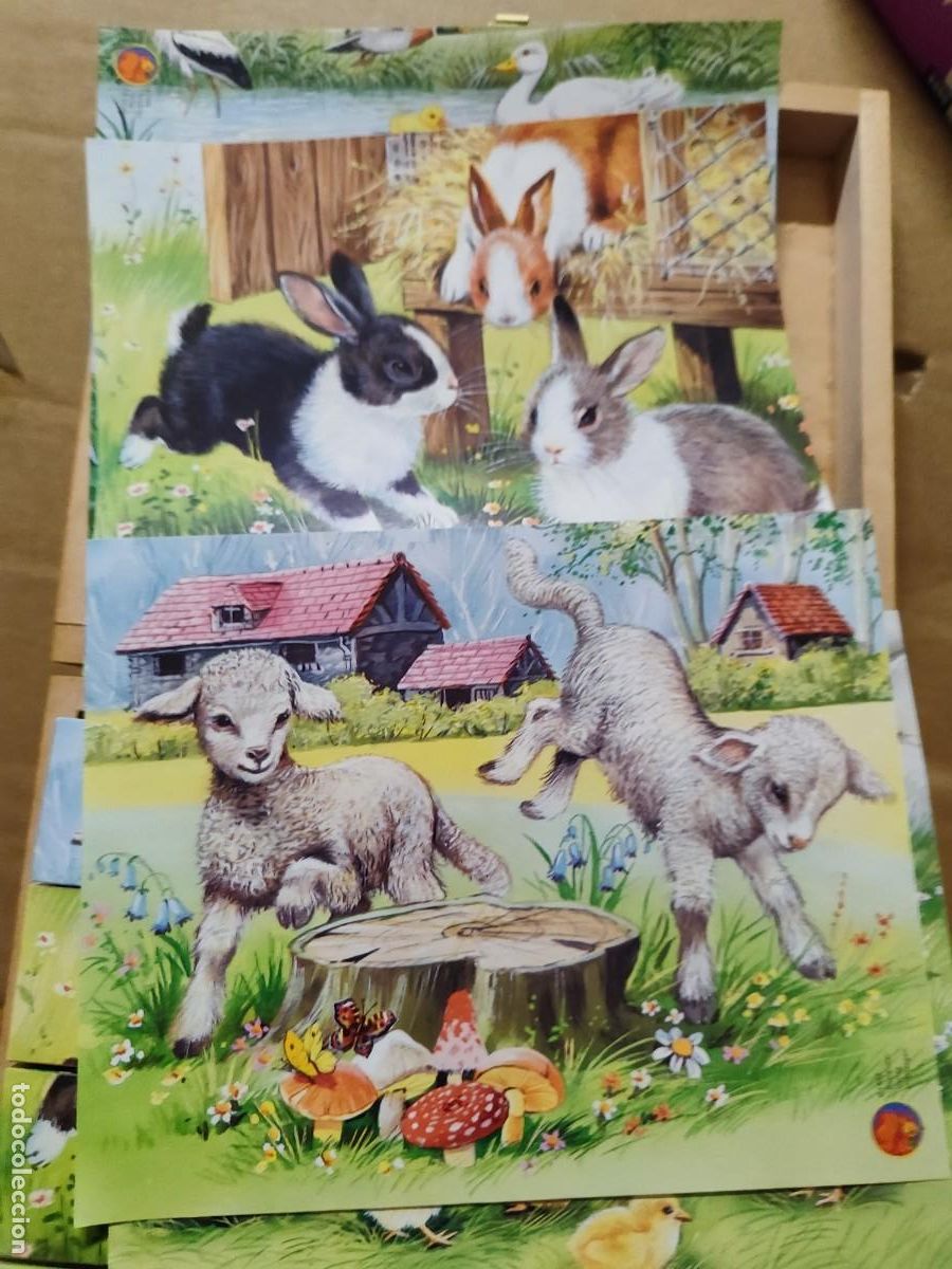 Puzzles: ROMPECABEZAS 20 CUBOS DE MADERA ILUSTRADOS - Foto 7