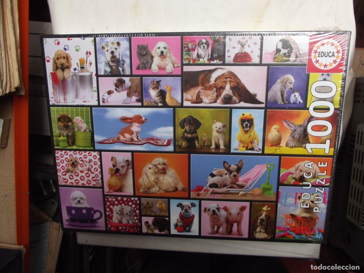 Puzzles: PUZZLE EDUCA DE 1000 PIEZAS ( COMPLETO PLASTIFICADO ) - Foto 1