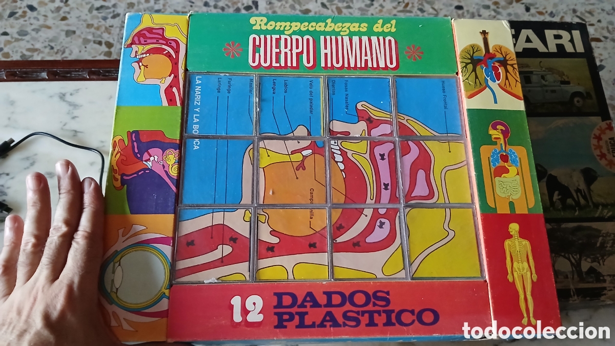 Puzzles: Rompecabezas puzzle Cuerpo humano - Foto 4