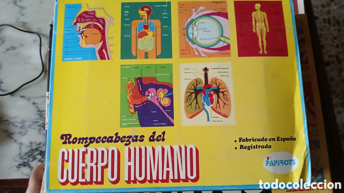 Puzzles: Rompecabezas puzzle Cuerpo humano
