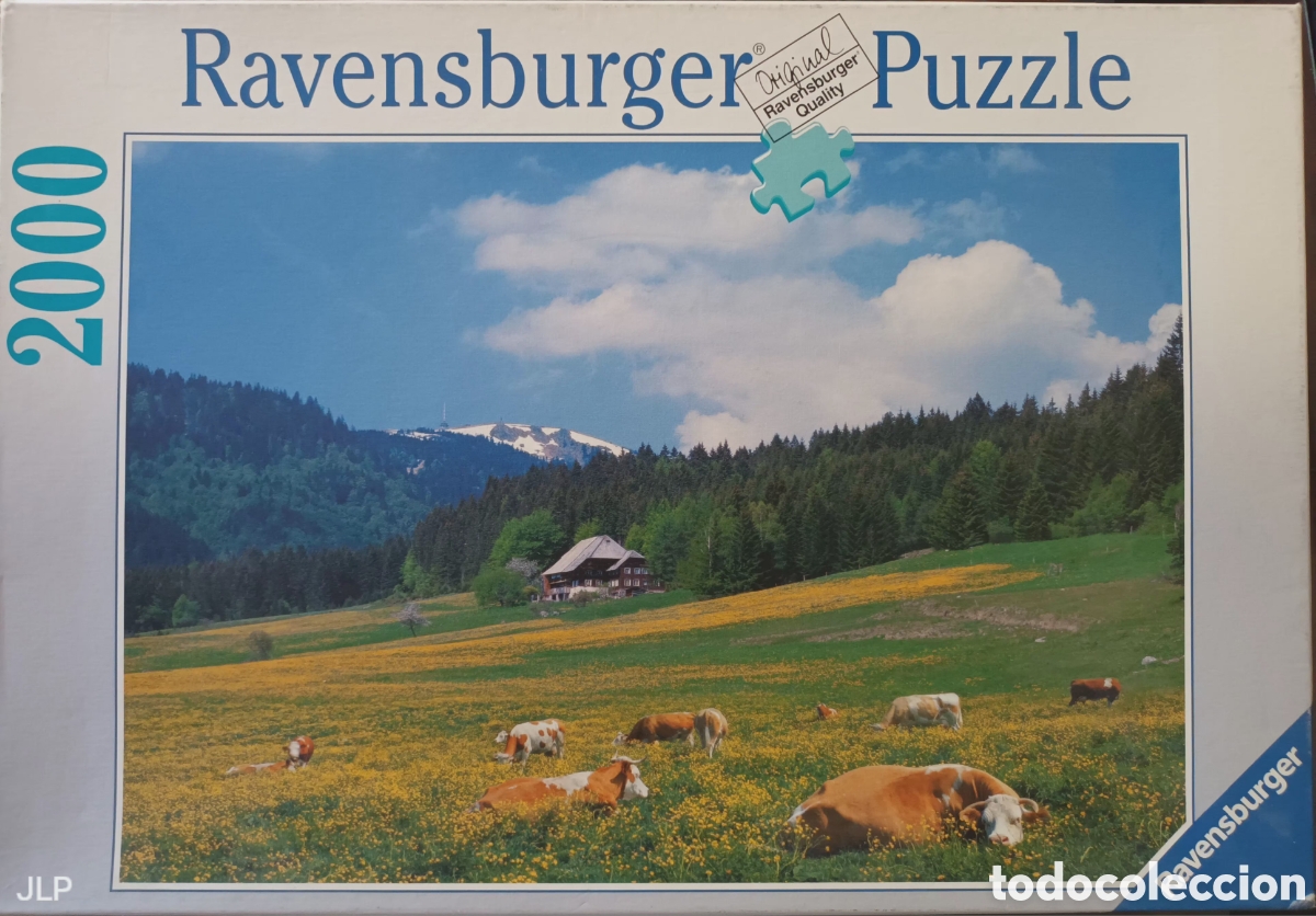 Puzzles: PUZZLE RAVENSBURGER. 2000 FICHAS.