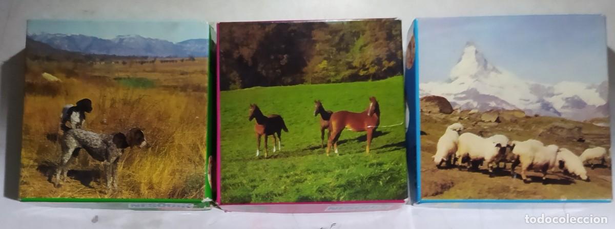 Puzzles: PUZZLES OBSEQUIO NESQUIK EDUCA