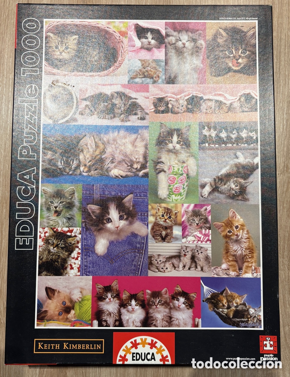 Puzzles: (L*058*) Puzle Educa 1000 piezas - Collage Gatitos / Keith Kimberlin (14442)