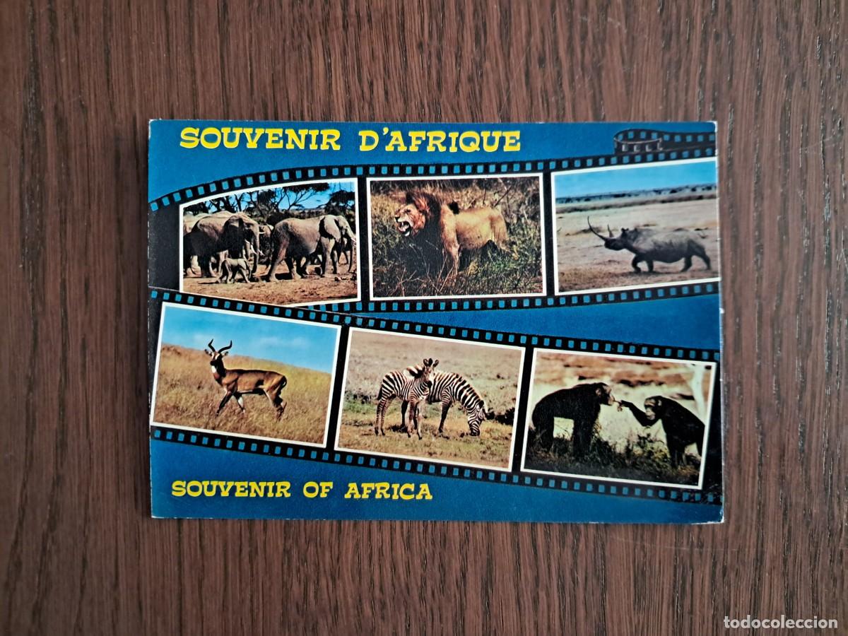 R&aacute;dios antigos: postal QSL radioaficionados, souvenir de &Aacute;frica, fauna africana, a&ntilde;o 1975.