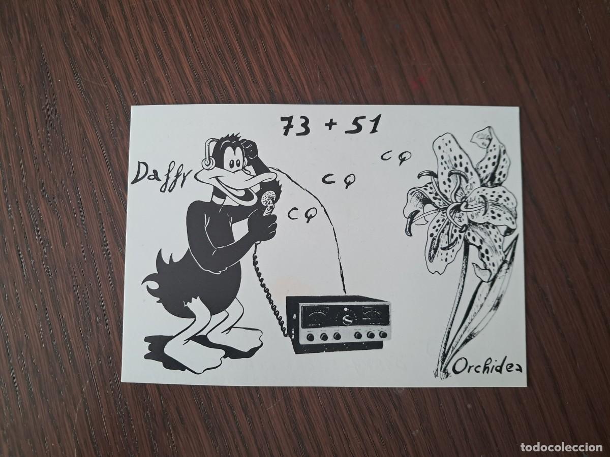 Alte Radios: tarjeta postal QSL radioaficionados, CB station Daffy-orchidea-kent-Paola, Italia, a&ntilde;o 1974.