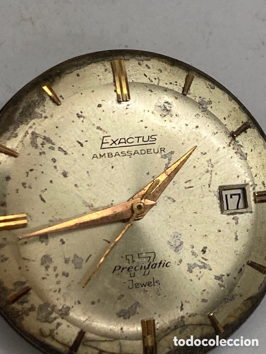 Relojes autom&aacute;ticos: M&aacute;quina Reloj Exactus autom&aacute;tico para piezas - Foto 2
