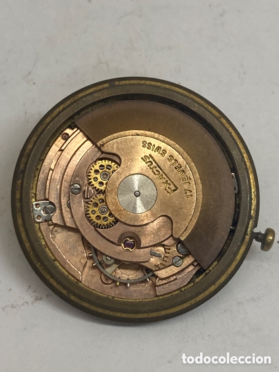Relojes autom&aacute;ticos: M&aacute;quina Reloj Exactus autom&aacute;tico para piezas - Foto 3