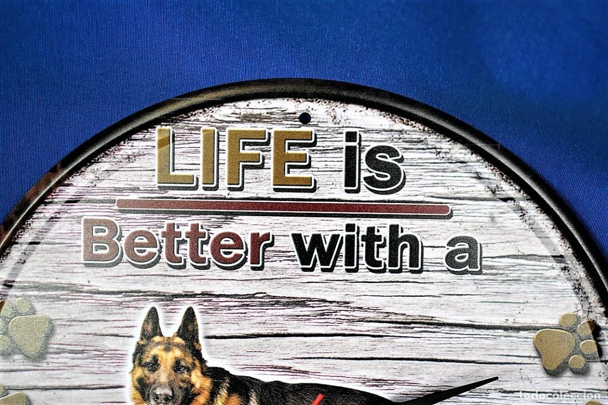 Relojes autom&aacute;ticos: Bonito reloj de pared Pastor Alem&aacute;n - Foto 3