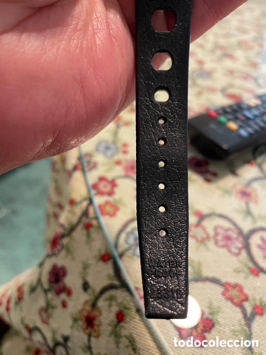 Relojes autom&aacute;ticos: Reloj Certina DS ,autom&aacute;tico - Foto 6