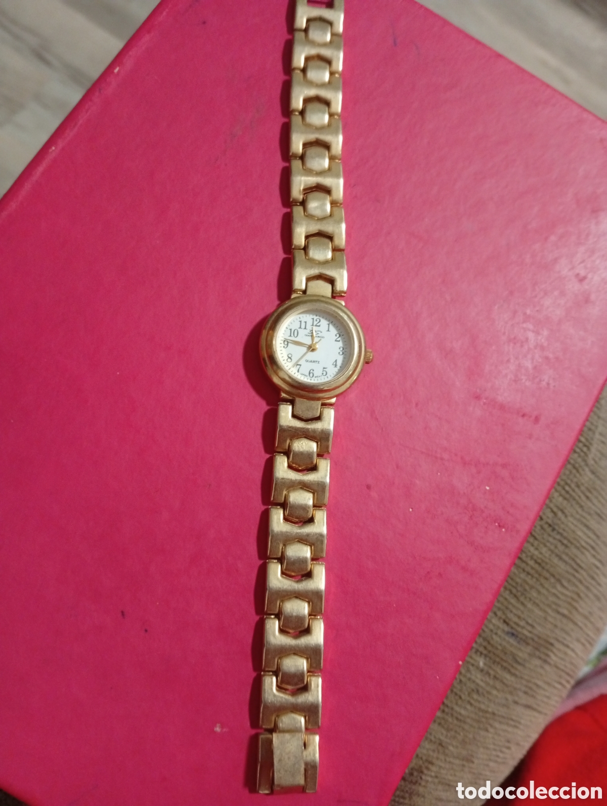 Relojes autom&aacute;ticos: Reloj sra Giani Georgio no probado