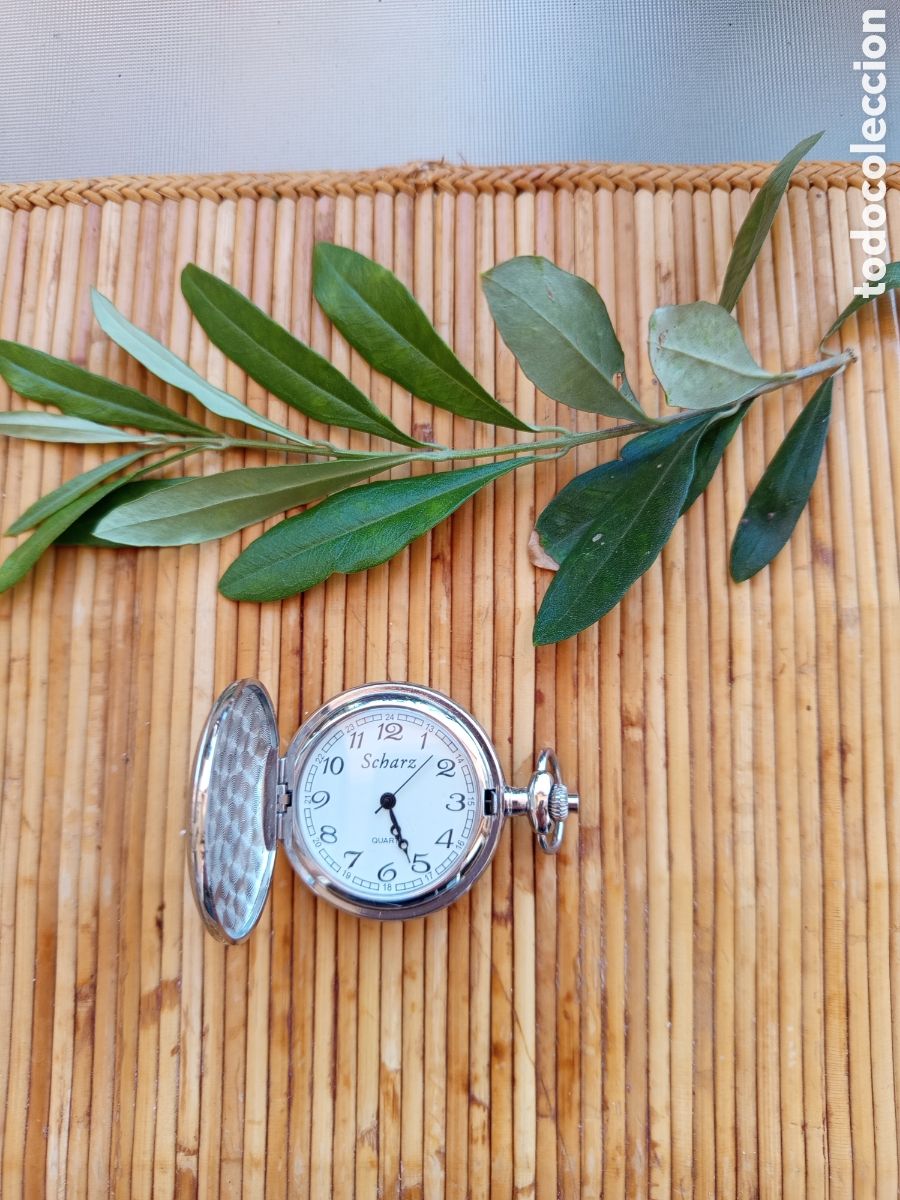 Relojes de bolsillo: Relojes de bolsillo usados por hombres normalmente, coleccionables