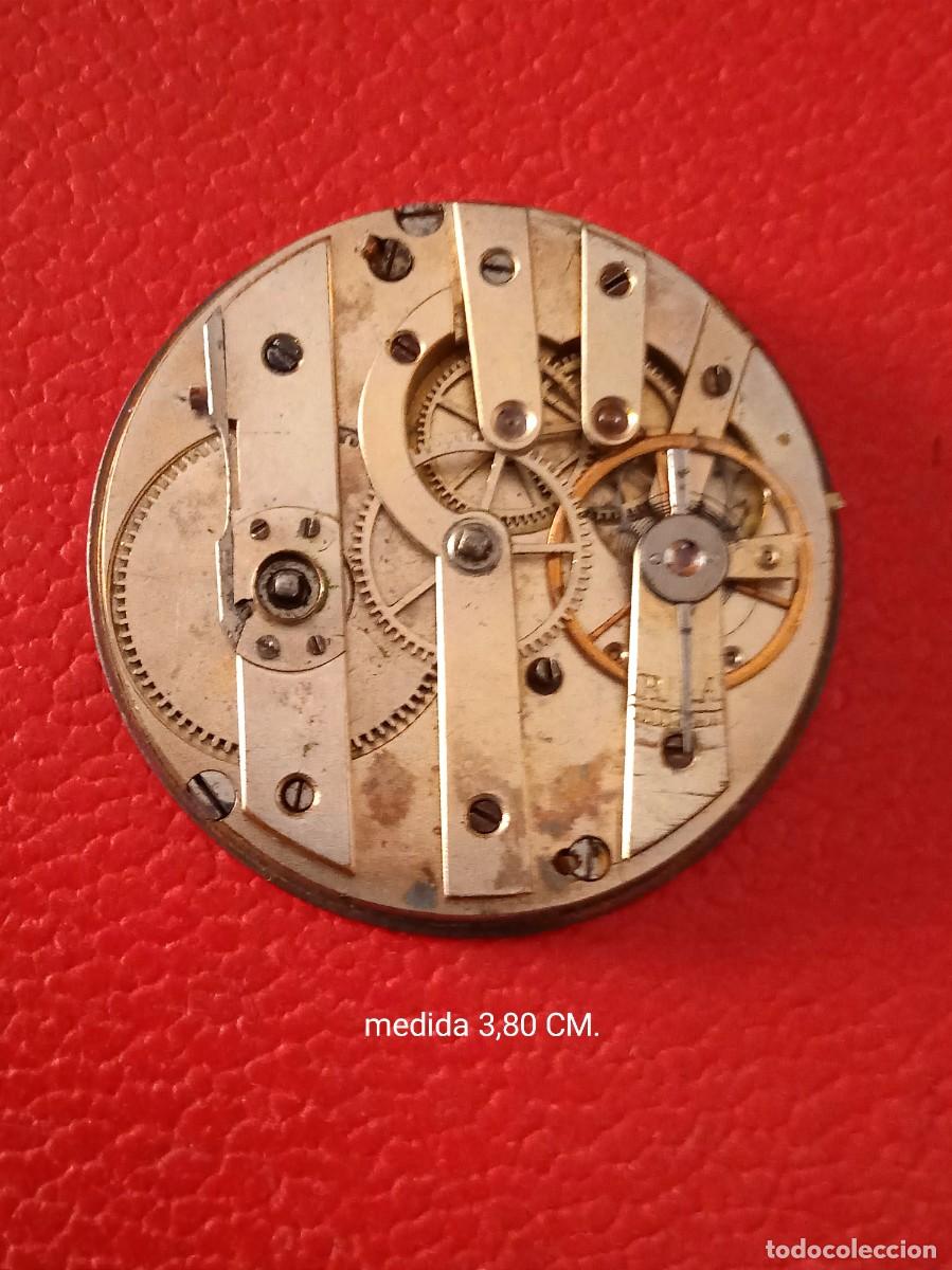 Relojes de bolsillo: MAQUINARIA RELOJ BOLSILLO MIDE 3,80 CM.