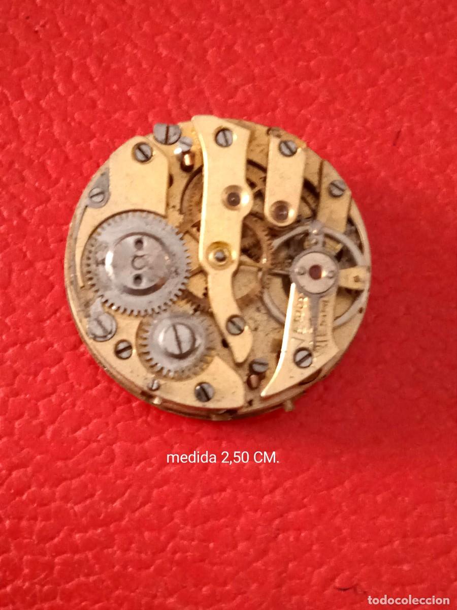 Relojes de bolsillo: MAQUINARIA RELOJ BOLSILLO MIDE 2,50 CM.