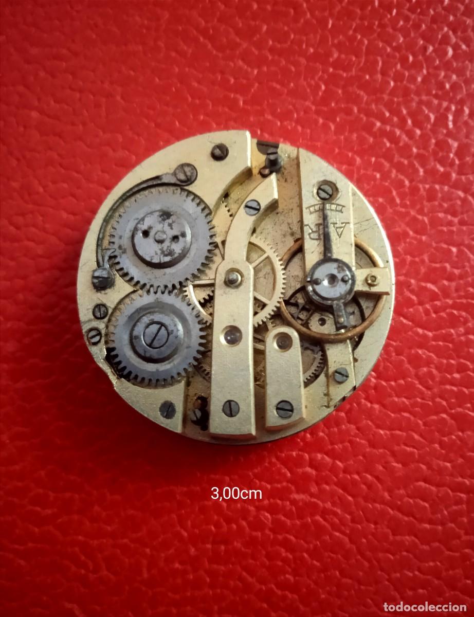 Relojes de bolsillo: MAQUINARIA RELOJ BOLSILLO MIDE 3,00 CM.