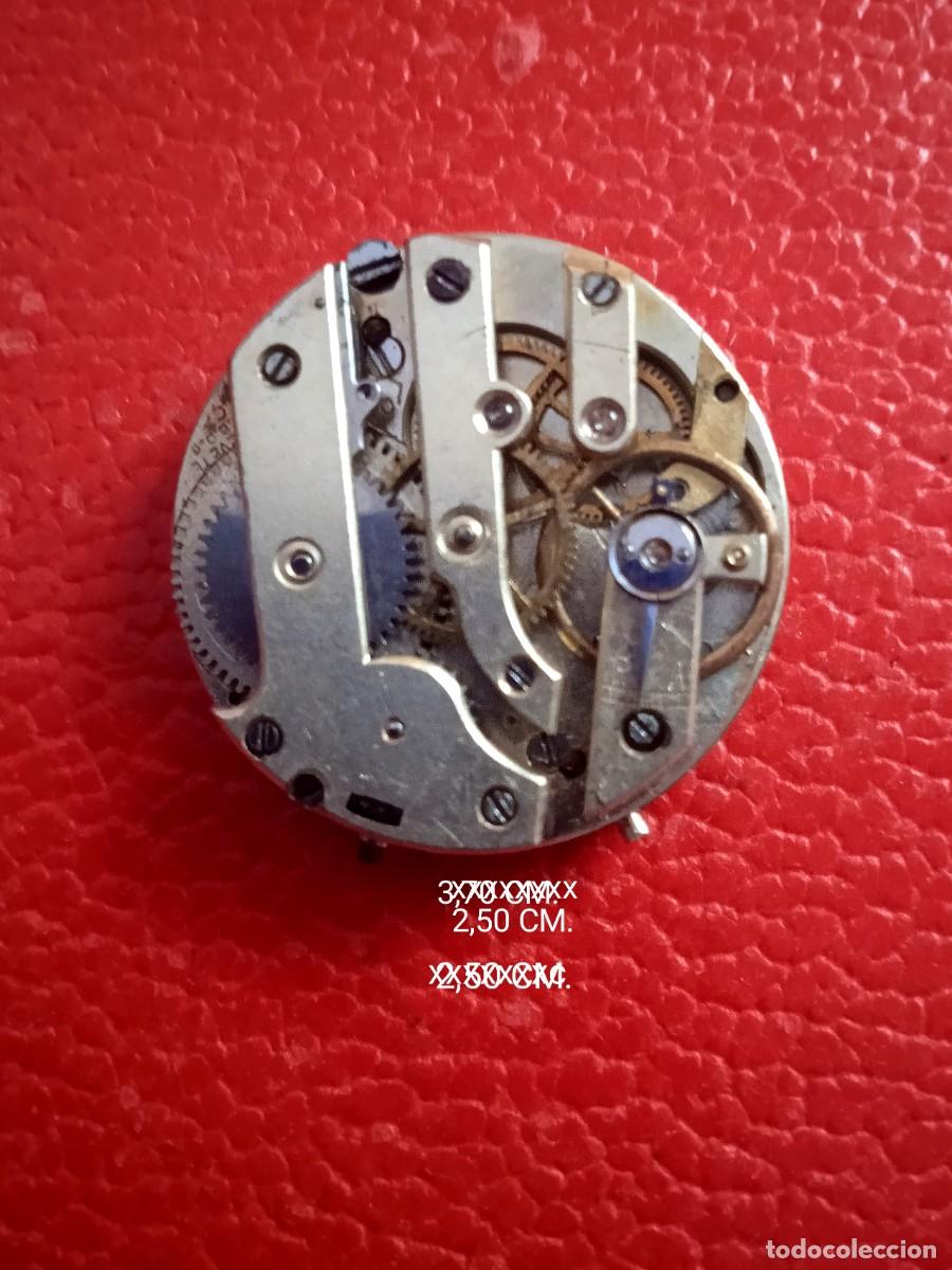 Relojes de bolsillo: MAQUINARIA RELOJ BOLSILLO MIDE 2,50 CM.