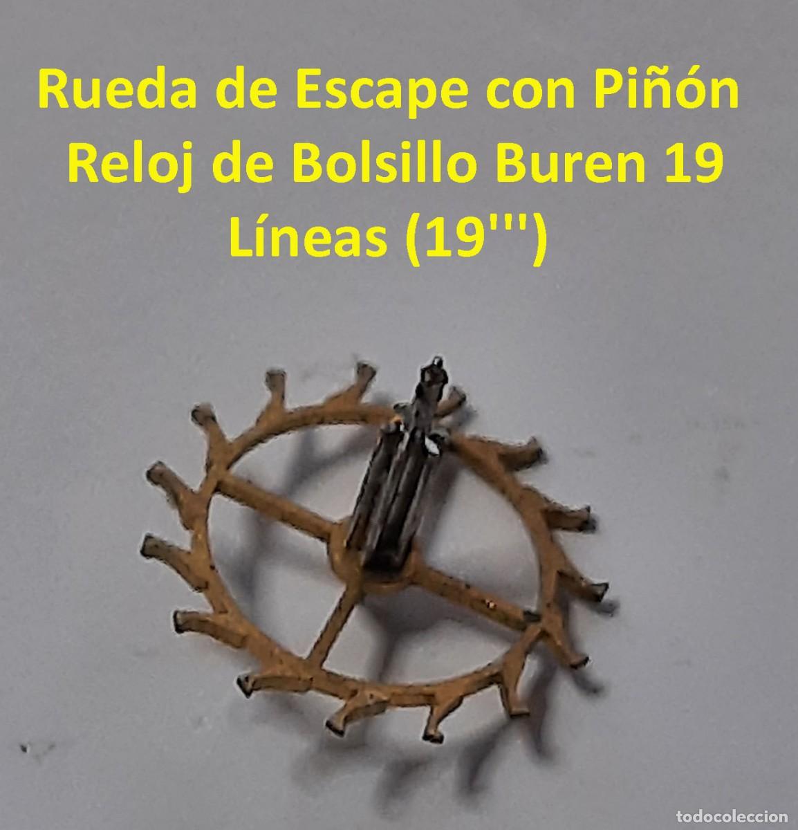 Orologi da taschino: Rueda de Escape con Pi&ntilde;&oacute;n - Reloj de Bolsillo Buren 19 L&iacute;neas (19''') - X