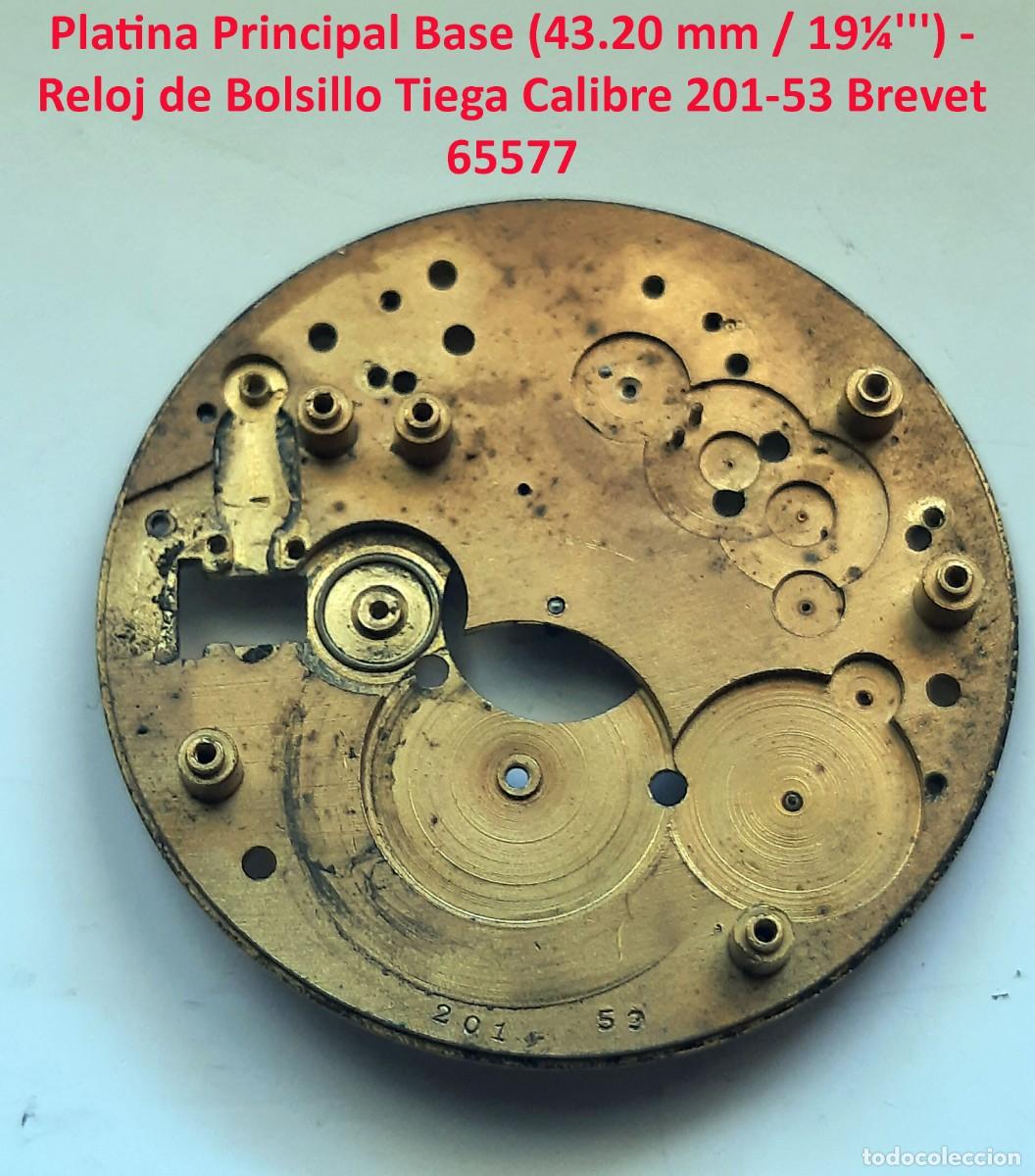 Rel&oacute;gios de bolso: Platina Principal Base (43.20 mm / 19&frac14;''') - Reloj de Bolsillo Tiega Calibre 201-53 Brevet 65577 - X