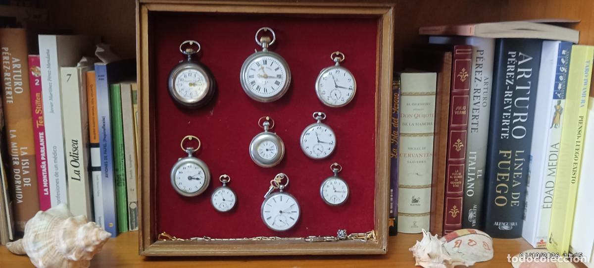 Relojes de bolsillo: Colecci&oacute;n de nueve relojes de bolsillo enmarcados.