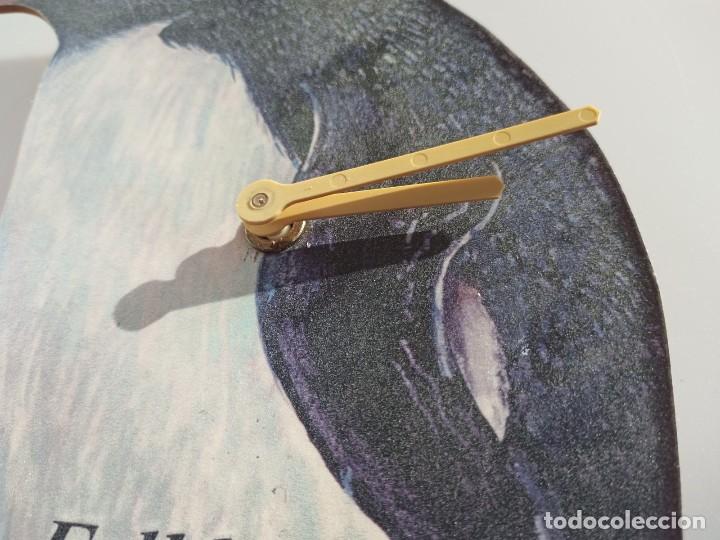 Relojes de pared: Reloj de pared con forma de ping&uuml;ino, Islas Malvinas - Foto 4