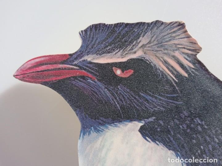 Relojes de pared: Reloj de pared con forma de ping&uuml;ino, Islas Malvinas - Foto 6