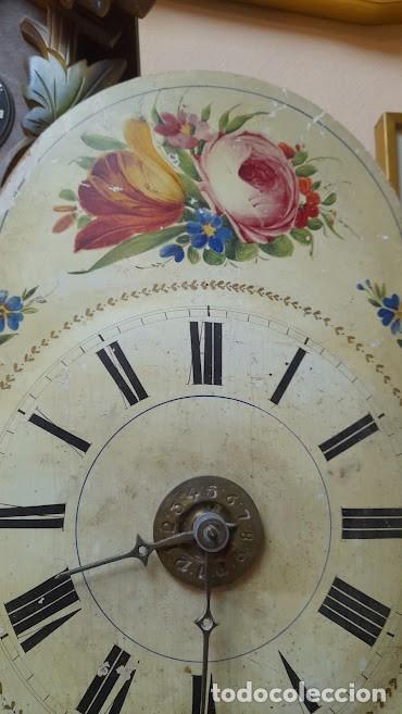 Relojes de pared: Reloj de Pared Selva Negra REF-5529 - Foto 2