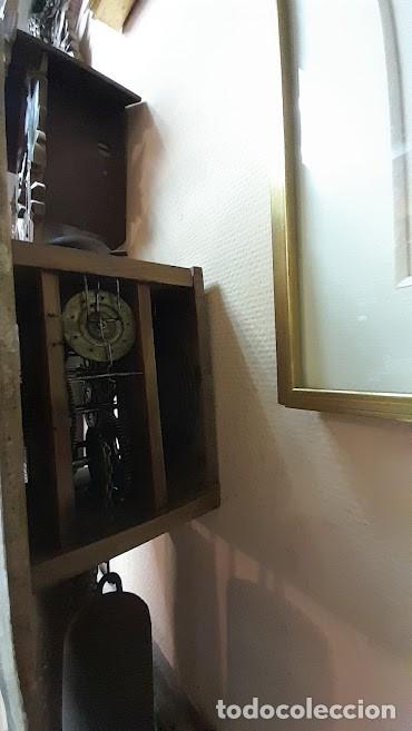 Relojes de pared: Reloj de Pared Selva Negra REF-5529 - Foto 5