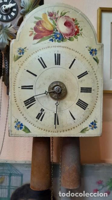 Relojes de pared: Reloj de Pared Selva Negra REF-5529 - Foto 1