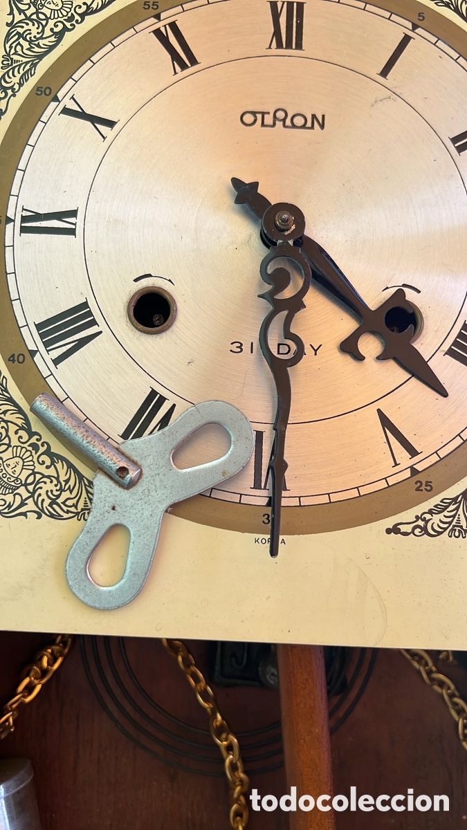 Relojes de pared: RELOJ DE PARED OTRON TEMPUS FUGIT - Foto 4