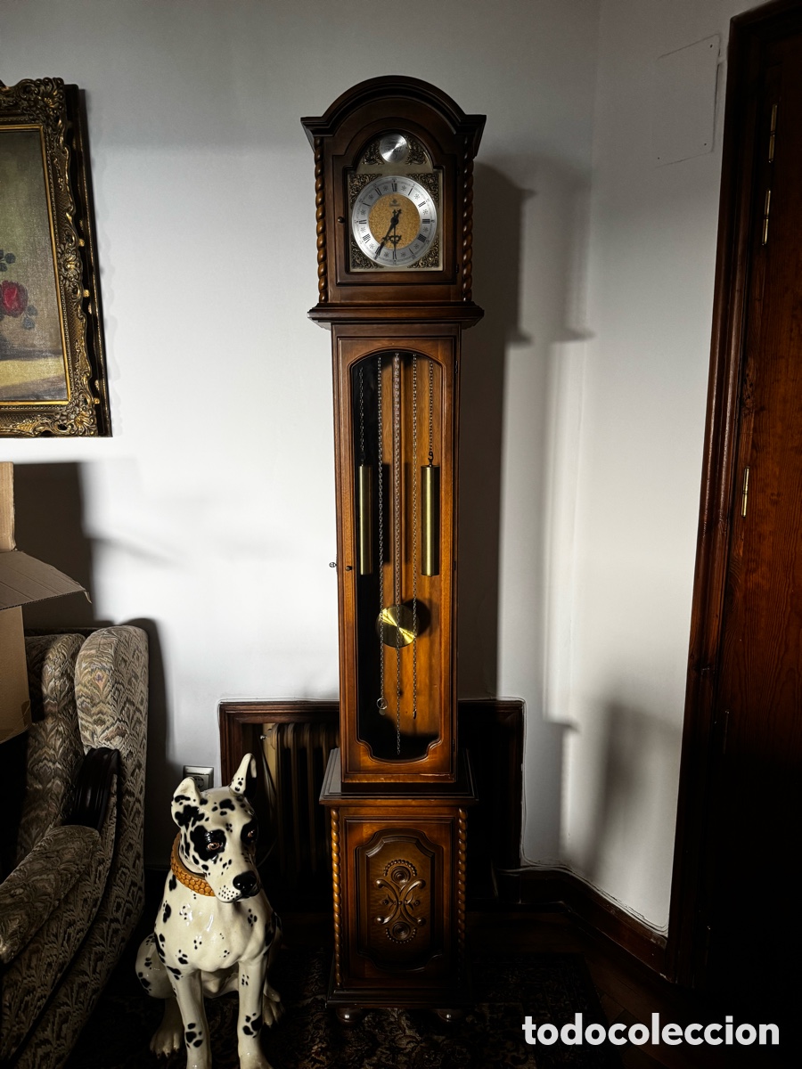 Relojes de pared: Reloj pared Tempus Figit