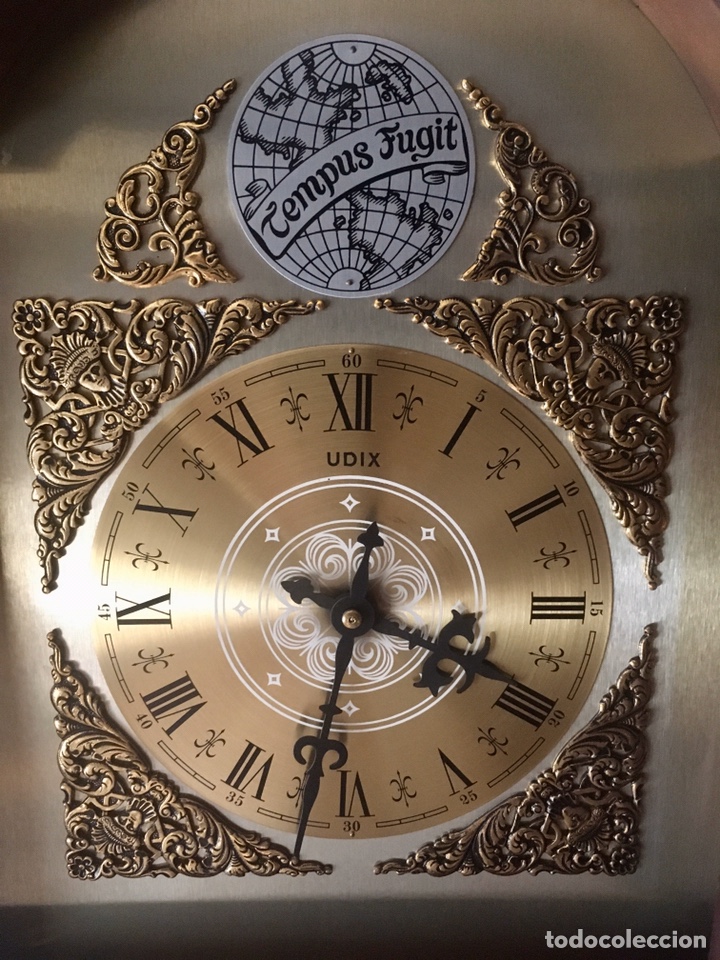 Relojes de pie: Reloj de pie Tempus Fugit - Foto 1