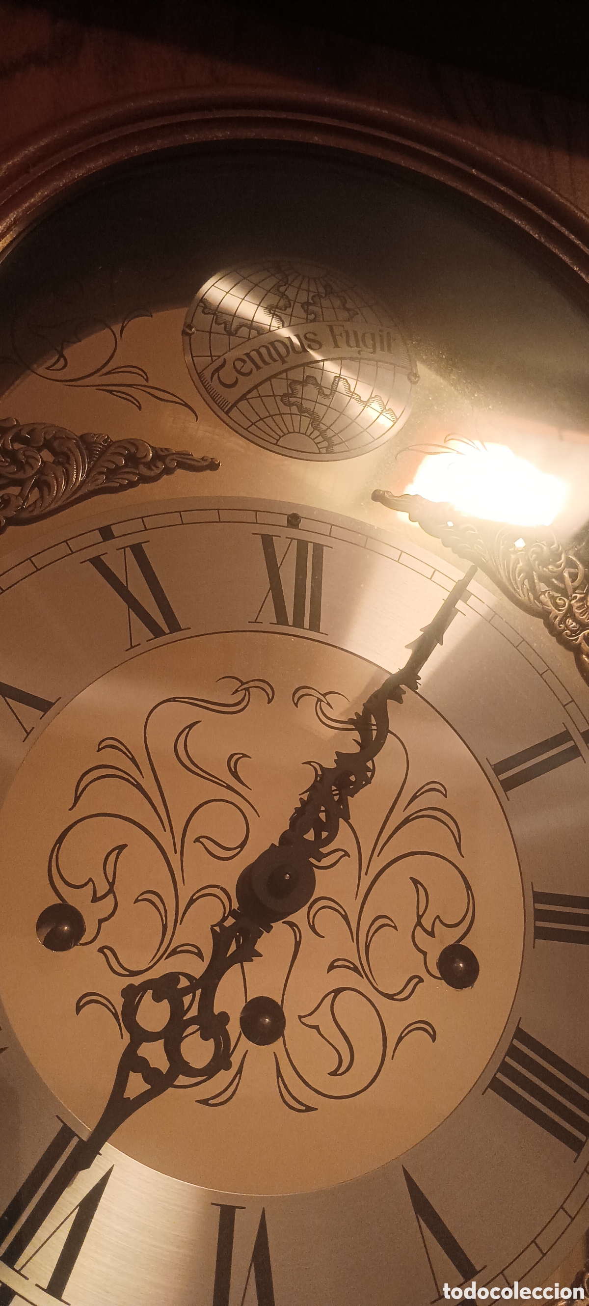 Relojes de pie: Reloj de pie de carrillon Tempus fugit - Foto 3