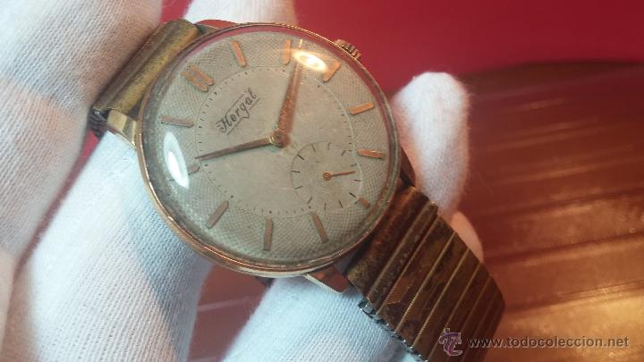 Relojes de pulsera: Reloj Hergal, pieza posiblemente ya única, espécimen de una marca extinta - Foto 29 - 52023215