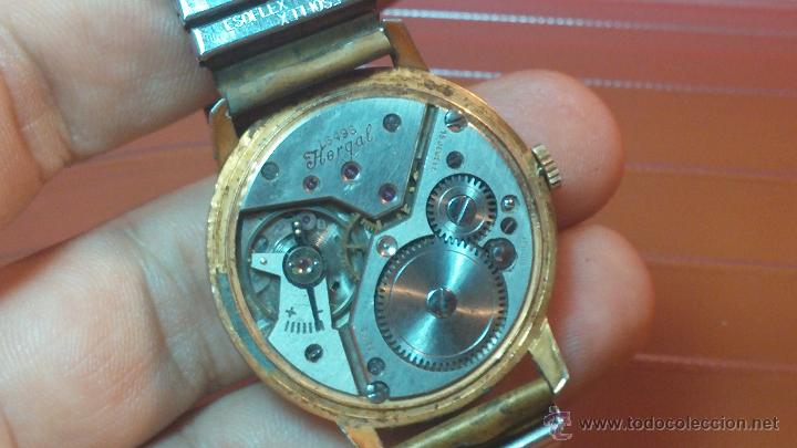 Relojes de pulsera: Reloj Hergal, pieza posiblemente ya única, espécimen de una marca extinta - Foto 78 - 52023215
