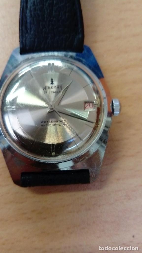 Relojes de pulsera: Bonito Reloj Waldman - Foto 2