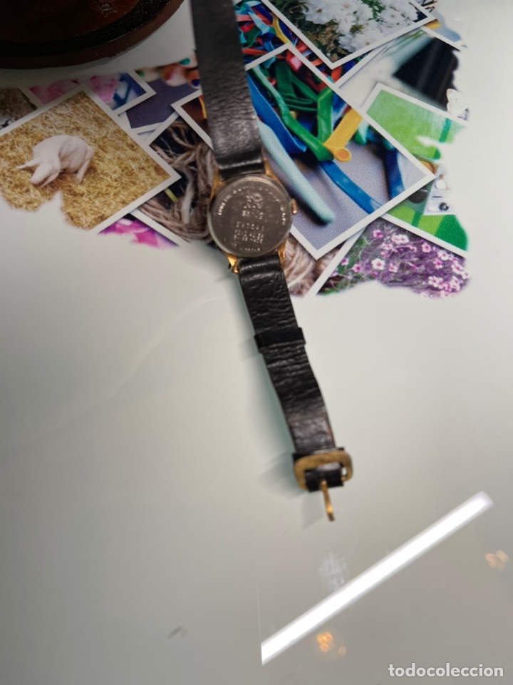 Relojes de pulsera: Reloj Dogma - Foto 3