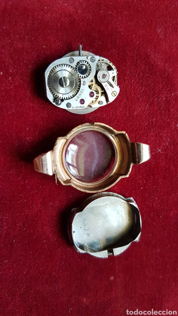 Relojes de pulsera: Reloj pulsera se&ntilde;ora cisne - Foto 3