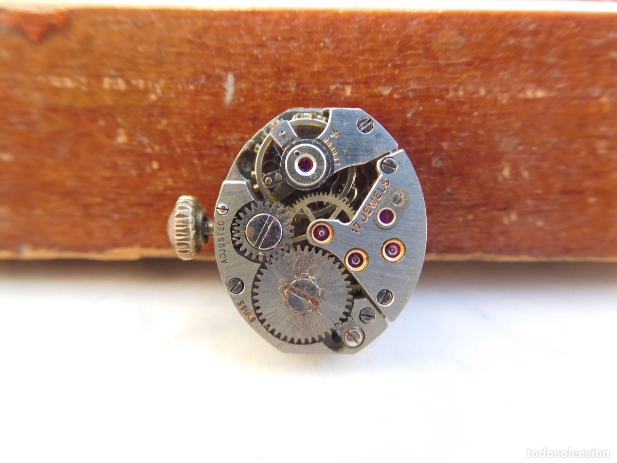 Relojes de pulsera: Reloj antiguo Regency - Foto 2