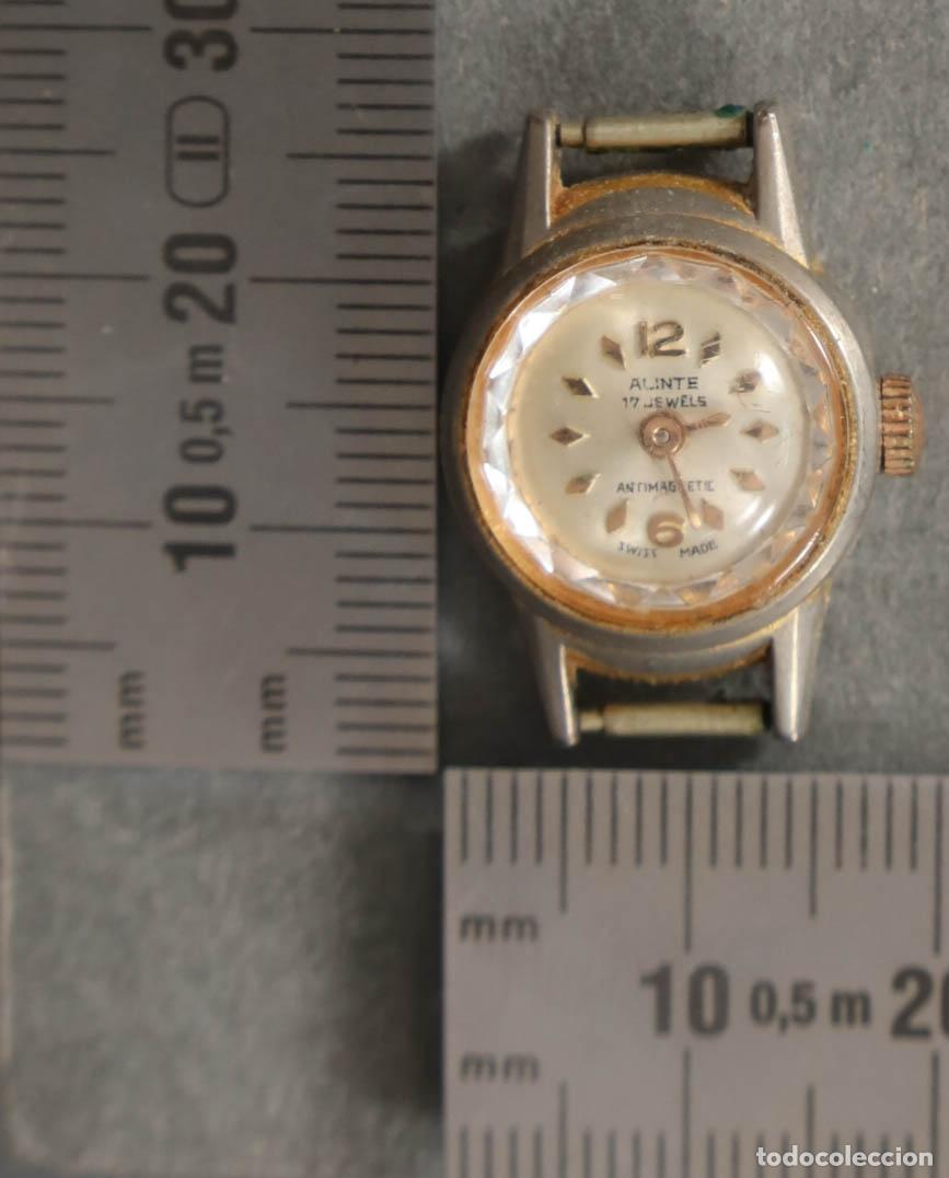 Relojes de pulsera: RELOJ. PULSERA ALINTE - Foto 1