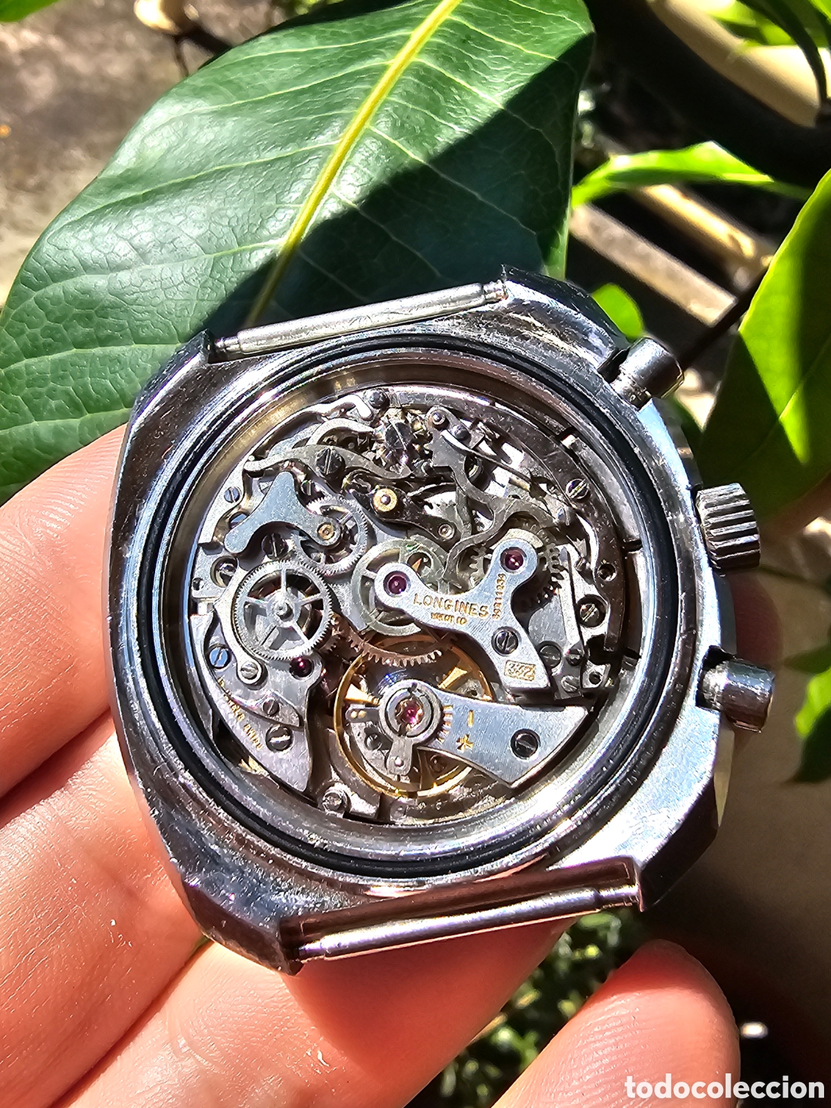 Relojes de pulsera: Longines 8595-1 Chronografo - Foto 3