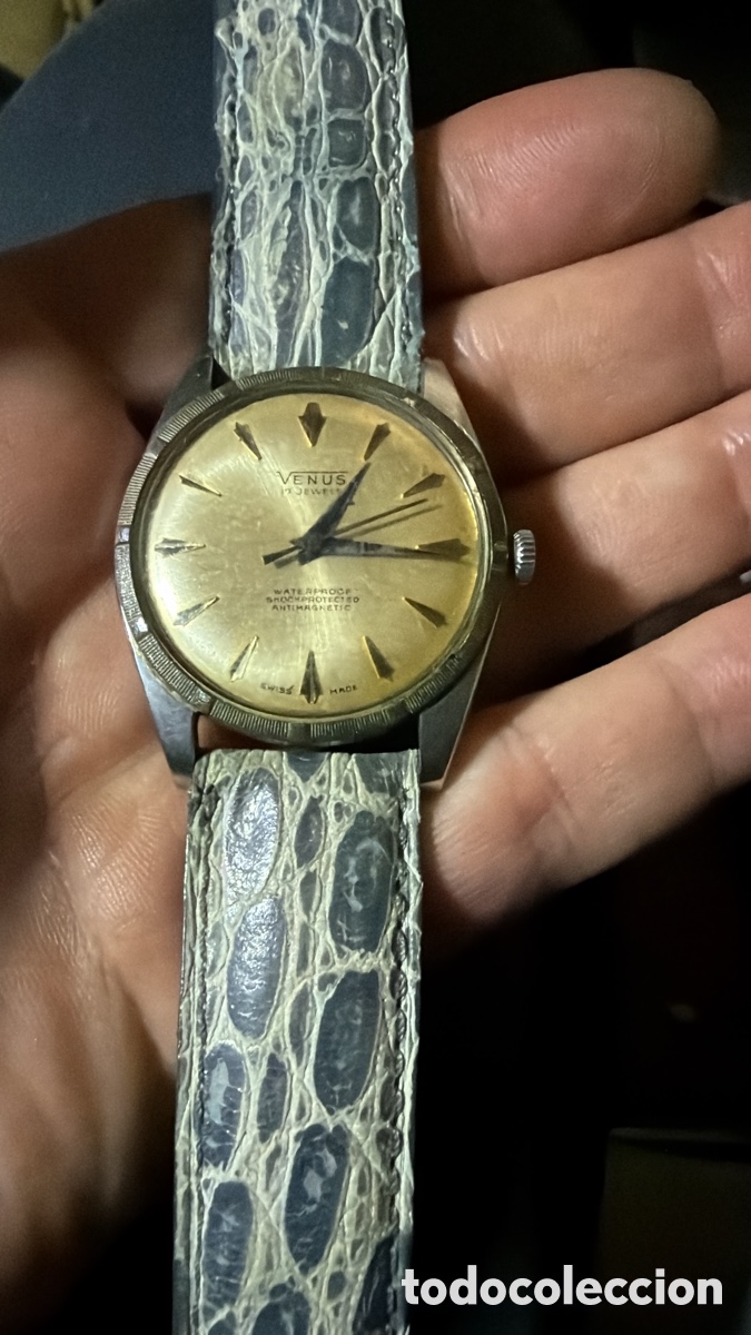 Relojes de pulsera: Reloj Venus jumbo. .