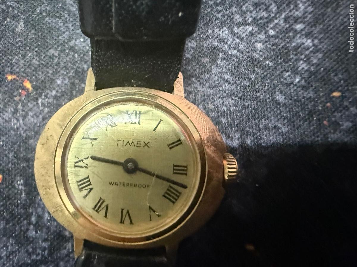 Montres-bracelets: ⌚ TIMEX Vintage Mec&aacute;nico &ndash; Cl&aacute;sico con Encanto Retro