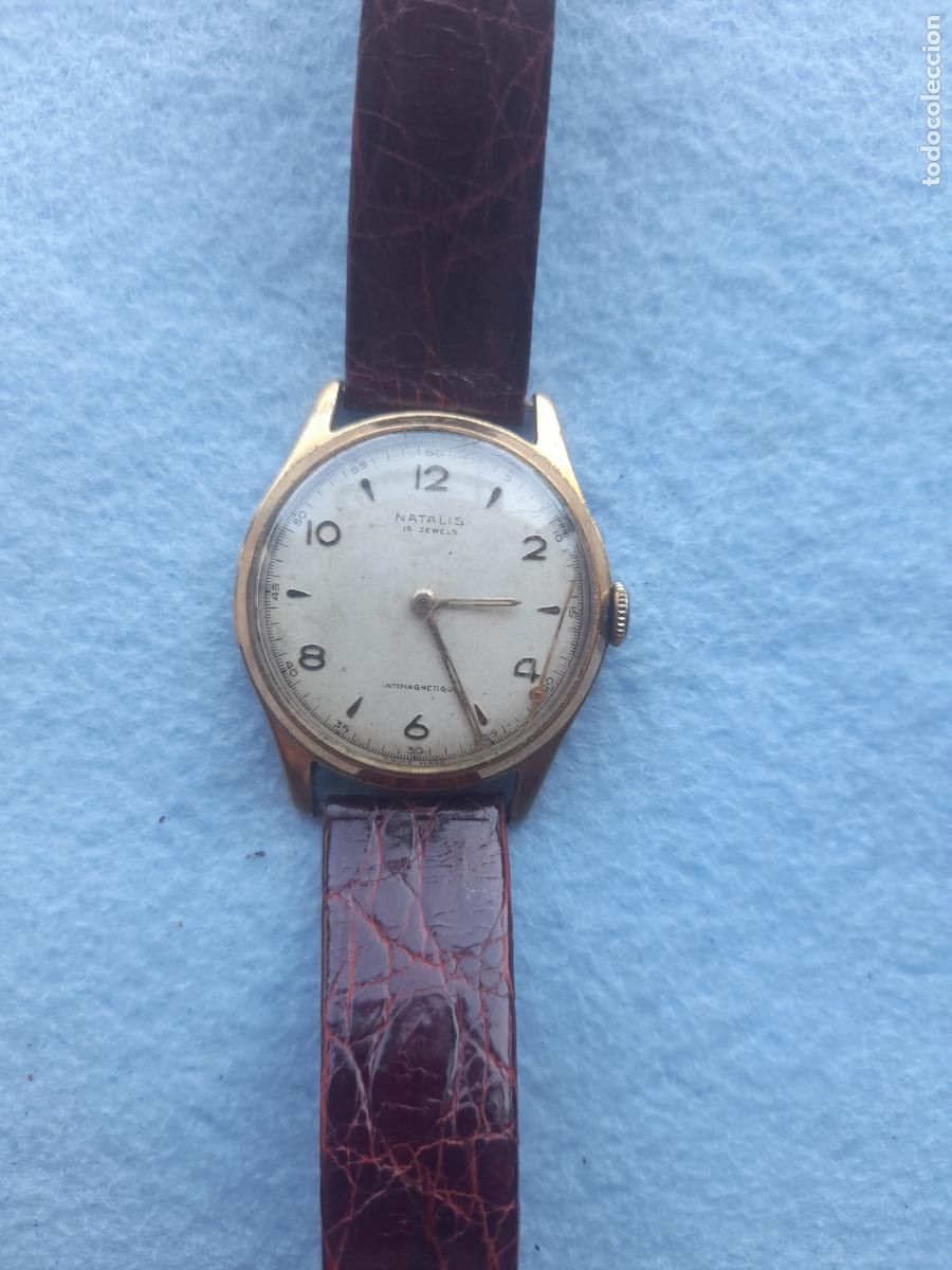 Relojes de pulsera: Reloj Marca Natalis. Cl&aacute;sico de Caballero. Swiss made.