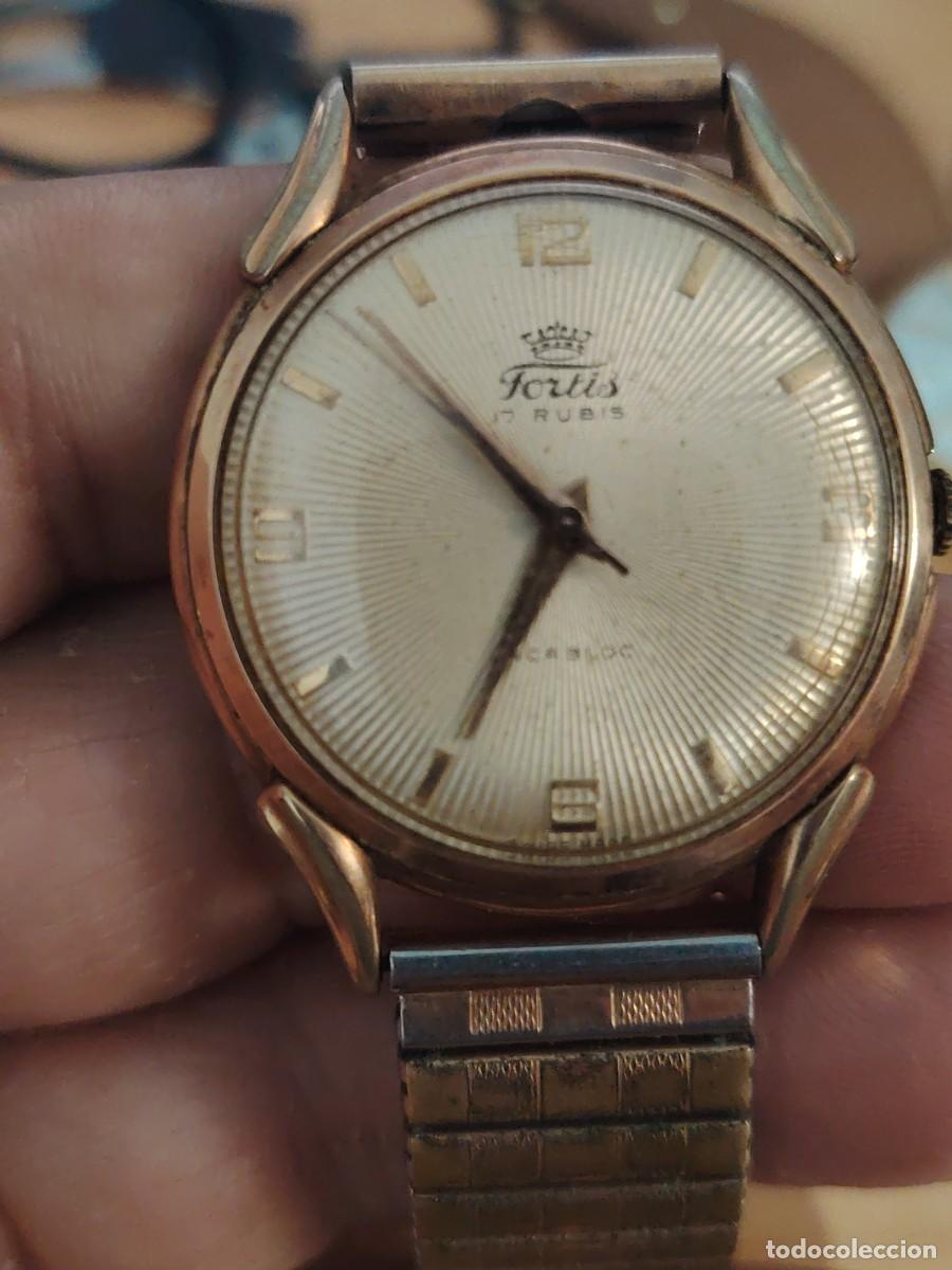 Relojes de pulsera: Reloj de pulsera para caballero, marca fortis