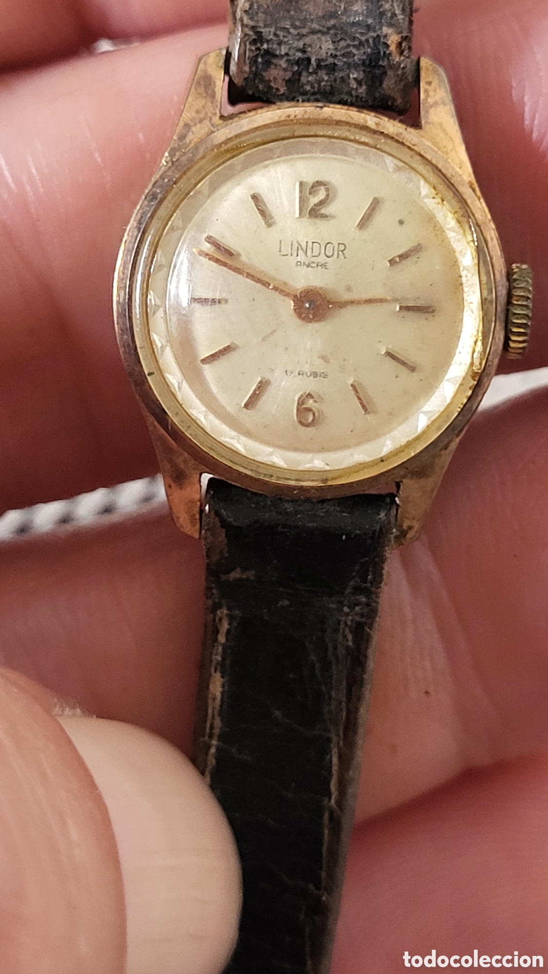 Armbanduhren: Reloj pulsera carga manual Se&ntilde;ora Lindor