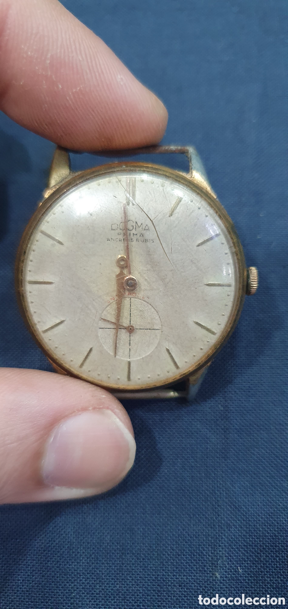 Wristwatches: Reloj de pulsera Dogma vintage. (L135)