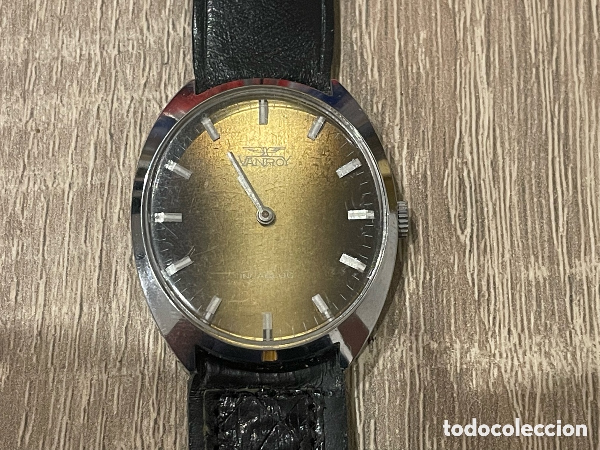 Relojes de pulsera: Vanroy reloj vintage Incabloc esfera degradada caja ovalada 30x33 mm